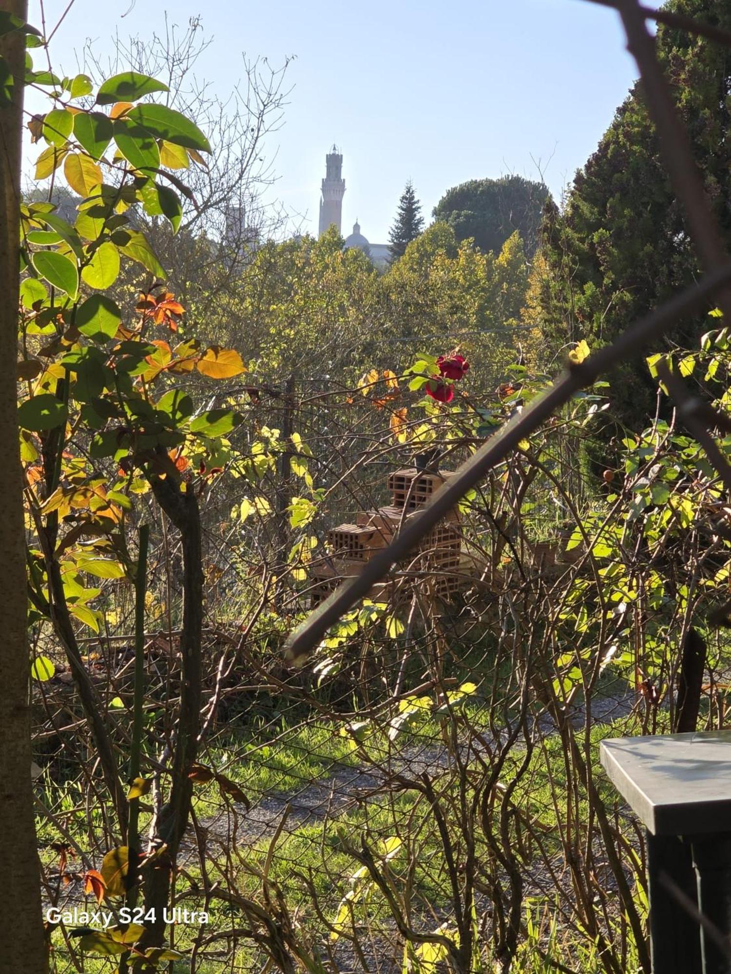 Podere Ponticini سيينا المظهر الخارجي الصورة